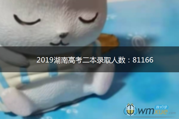 2019湖南高考二本录取人数：81166人