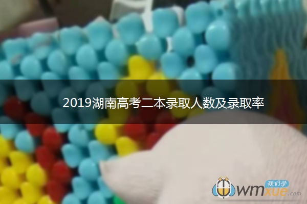 2019湖南高考二本录取人数及录取率