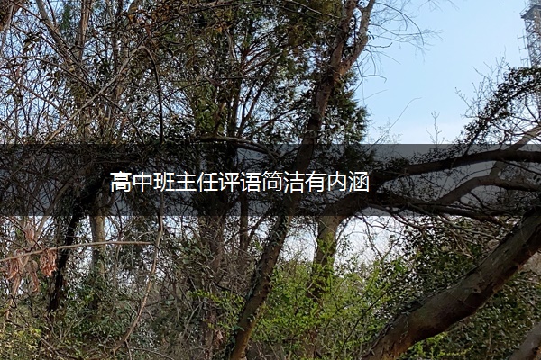 高中班主任评语简洁有内涵