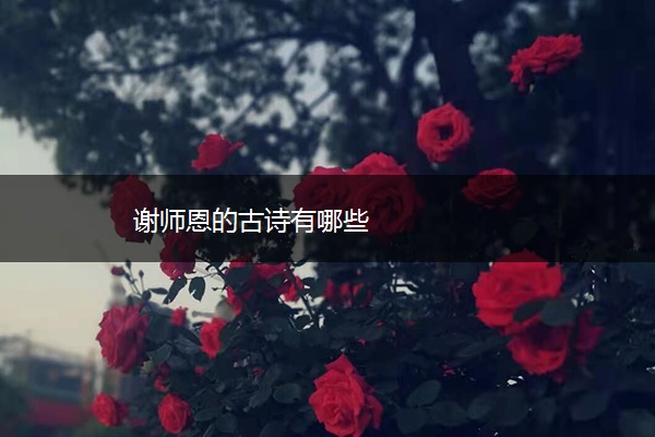 谢师恩的古诗有哪些