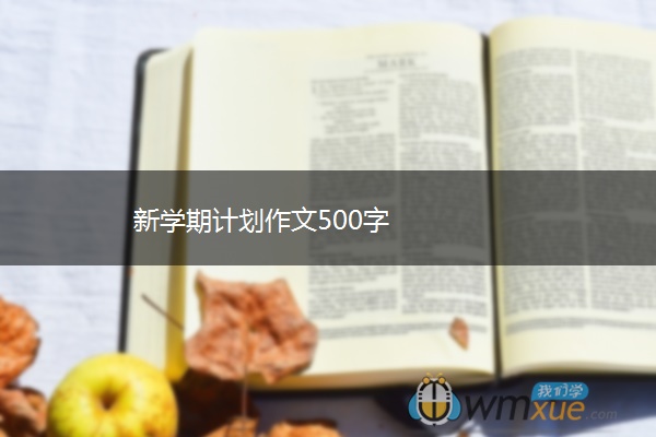 新学期计划作文500字