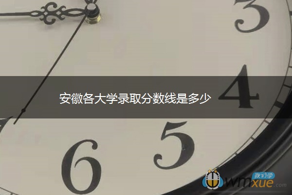 安徽各大学录取分数线是多少