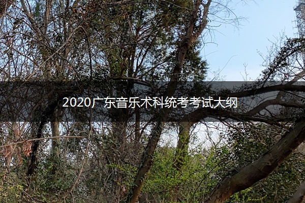 2020广东音乐术科统考考试大纲