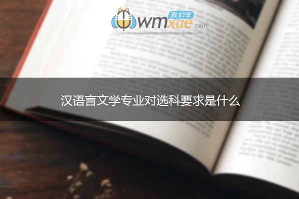 汉语言文学专业对选科要求是什么