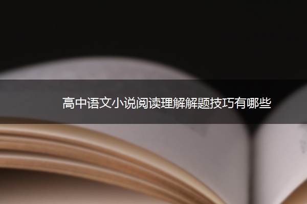 高中语文小说阅读理解解题技巧有哪些