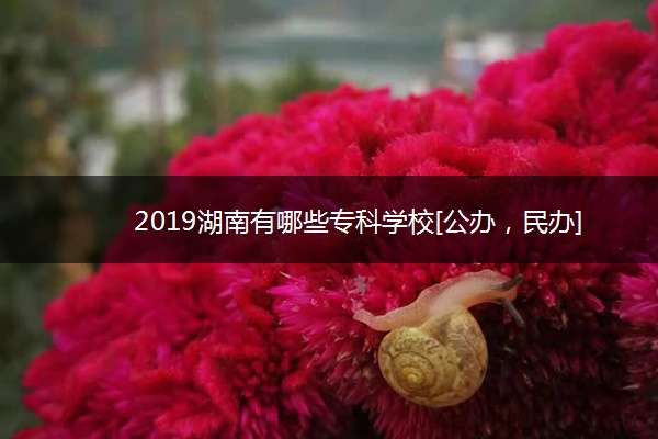 2019湖南有哪些专科学校[公办，民办]