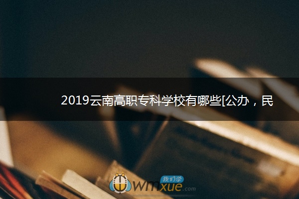 2019云南高职专科学校有哪些[公办，民办]
