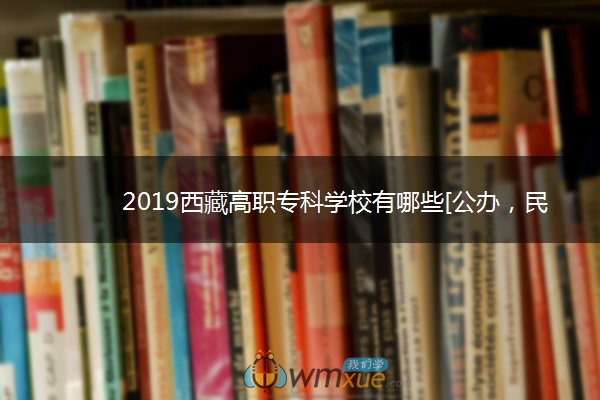 2019西藏高职专科学校有哪些[公办，民办]