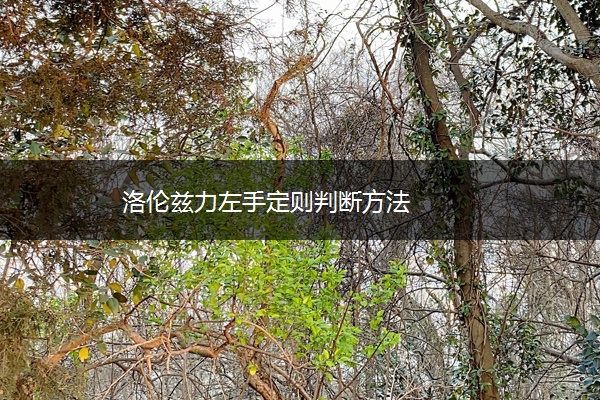 洛伦兹力左手定则判断方法