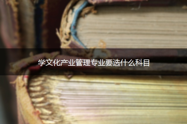 学文化产业管理专业要选什么科目