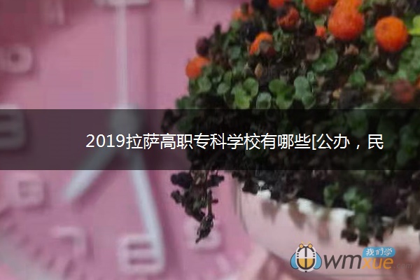 2019拉萨高职专科学校有哪些[公办，民办]