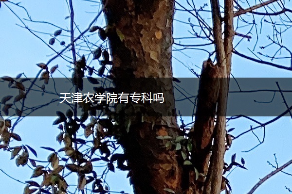 天津农学院有专科吗