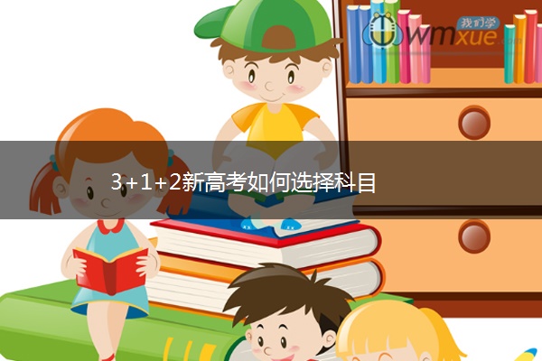 3+1+2新高考如何选择科目