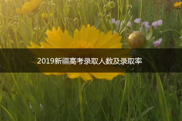 2019新疆高考录取人数及录取率