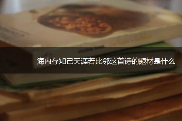 海内存知己天涯若比邻这首诗的题材是什么