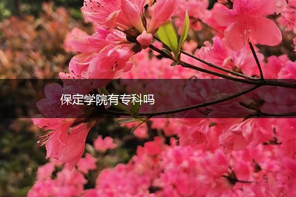 保定学院有专科吗