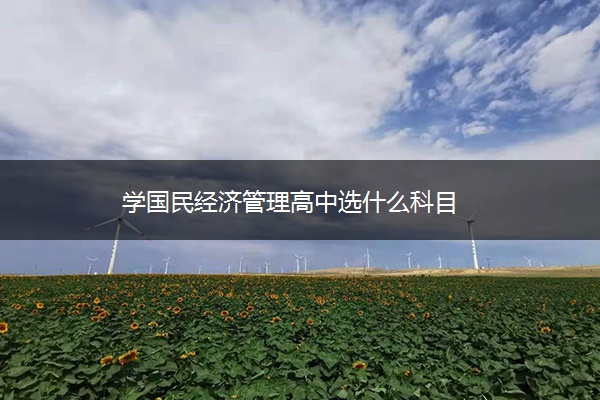 学国民经济管理高中选什么科目