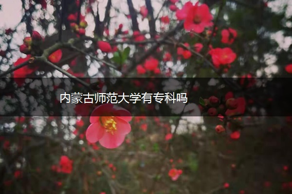 内蒙古师范大学有专科吗