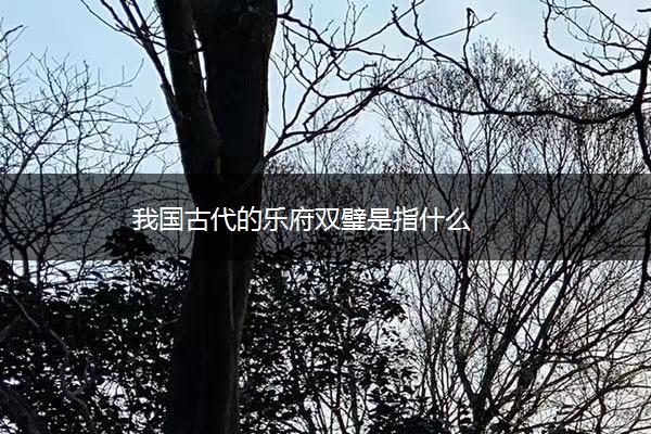 我国古代的乐府双璧是指什么