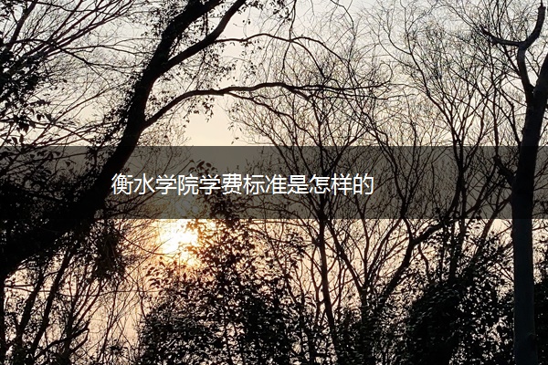 衡水学院学费标准是怎样的