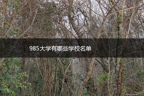 985大学有哪些学校名单