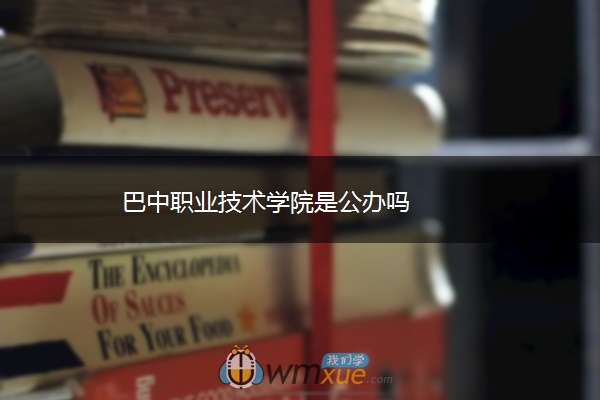 巴中职业技术学院是公办吗