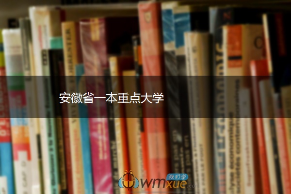 安徽省一本重点大学
