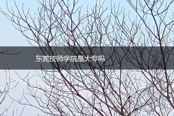 东莞技师学院是大专吗