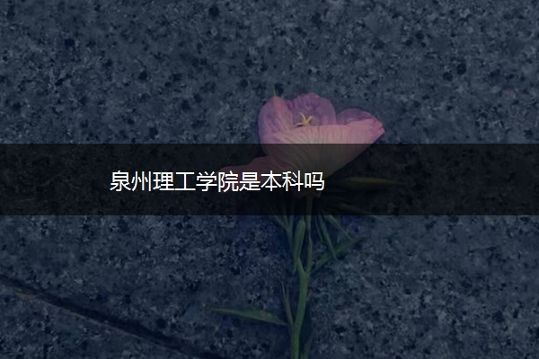 泉州理工学院是本科吗