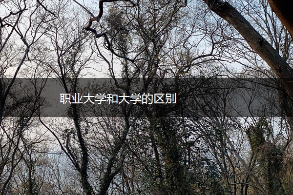 职业大学和大学的区别