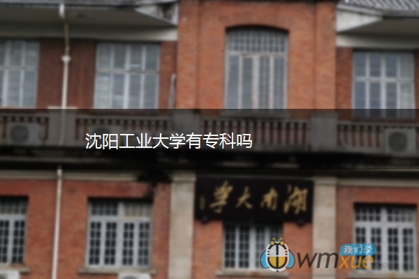 沈阳工业大学有专科吗