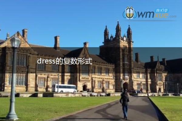 dress的复数形式