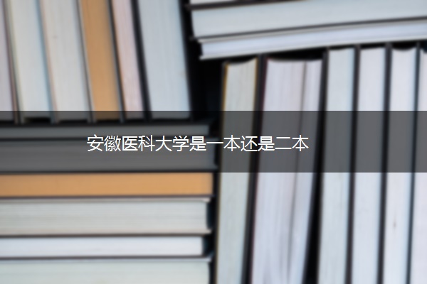 安徽医科大学是一本还是二本