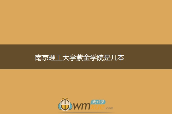 南京理工大学紫金学院是几本