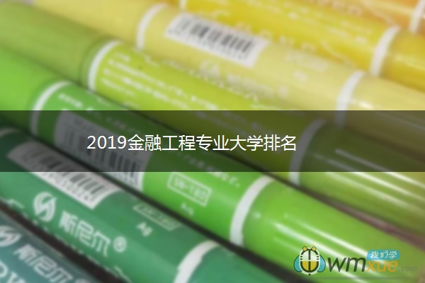 2019金融工程专业大学排名