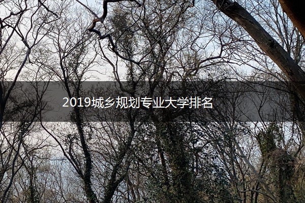 2019城乡规划专业大学排名