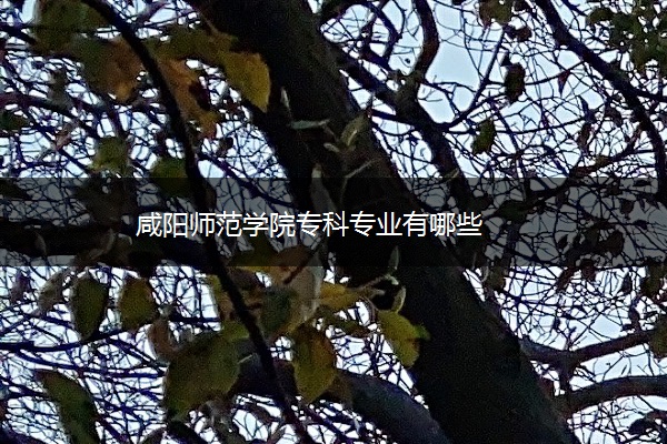 咸阳师范学院专科专业有哪些