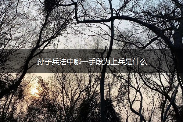 孙子兵法中哪一手段为上兵是什么
