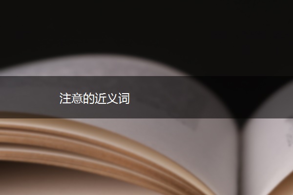 注意的近义词