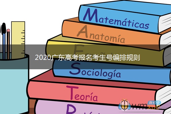 2020广东高考报名考生号编排规则