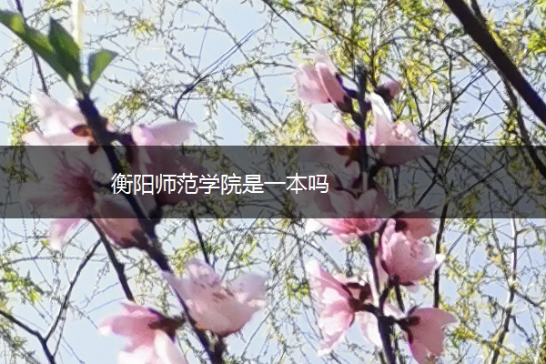 衡阳师范学院是一本吗