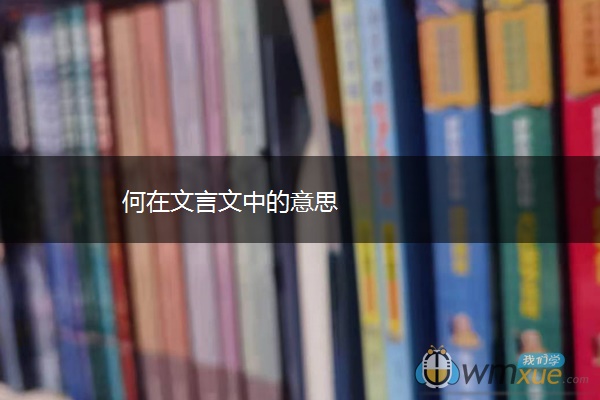 何在文言文中的意思