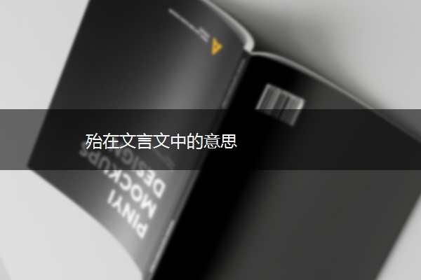 殆在文言文中的意思