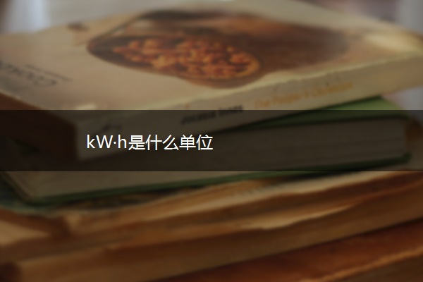 kW·h是什么单位