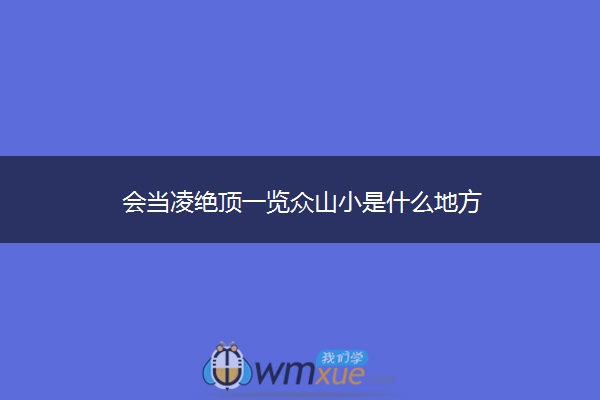 会当凌绝顶一览众山小是什么地方