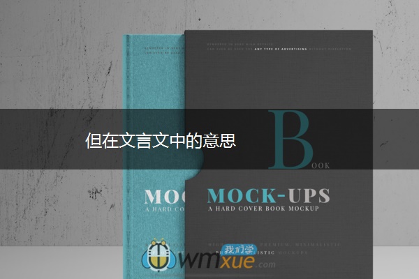 但在文言文中的意思