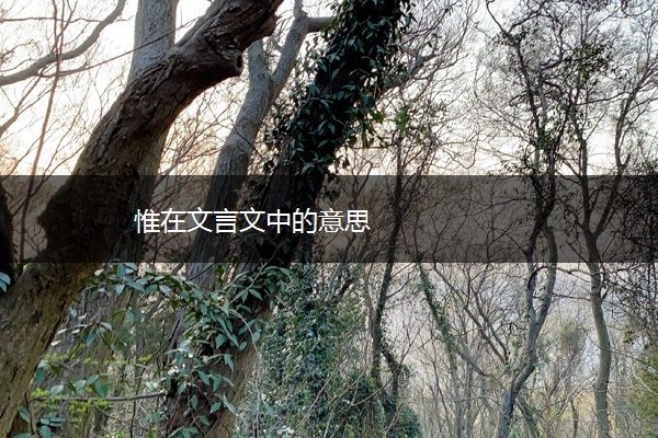 惟在文言文中的意思