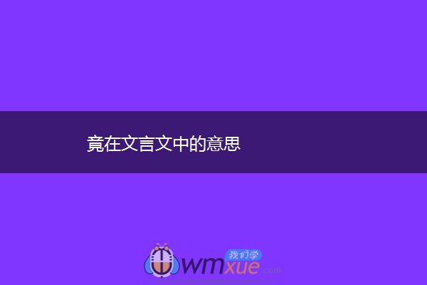 竟在文言文中的意思