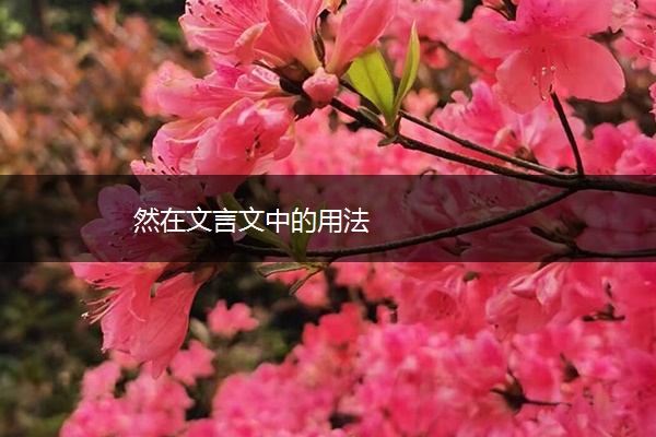 然在文言文中的用法
