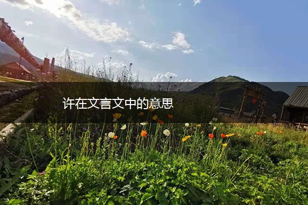 许在文言文中的意思